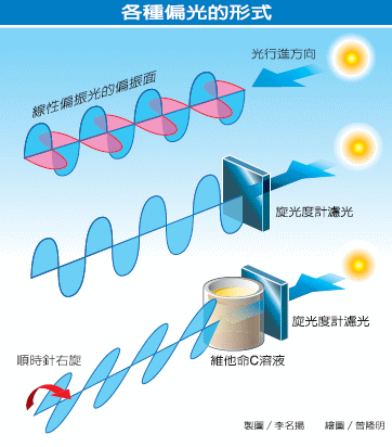 各种偏光形式 各种偏光形式
