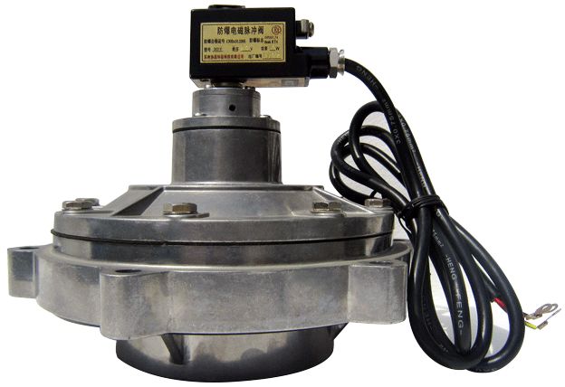防爆淹没式电磁脉冲阀DCF-F-Y-102S图片