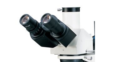 观察?jpg 观察?jpg