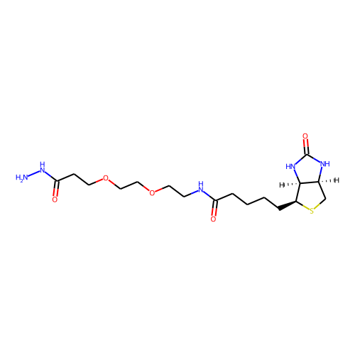 (+)-Biotin-PEG2-hydrazideͼƬ
