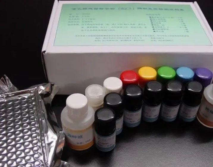 P38蛋白(P38)ELISA检测试剂盒图片