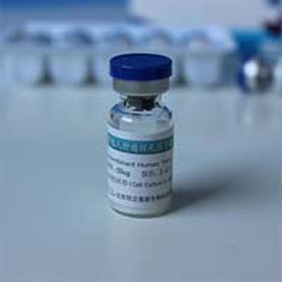 重组POTEB3蛋白图片