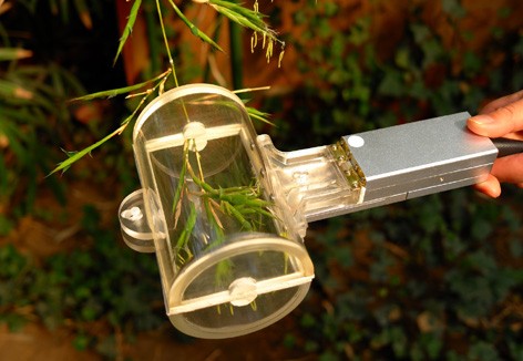 YXLC-5型簇状叶室图?></a></div> <span style=