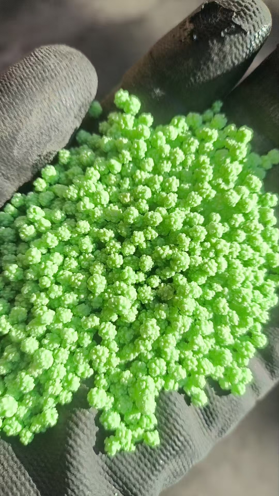 中量元素水溶肥钙镁爆米花图片