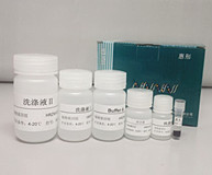 植物DNA提取试剂盒图?></a></div> <span style=