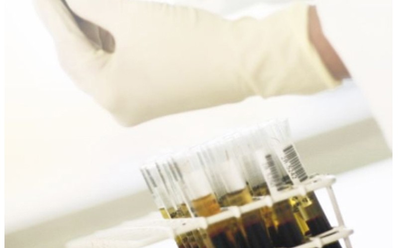 胎牛血清图?></a></div> <span style=