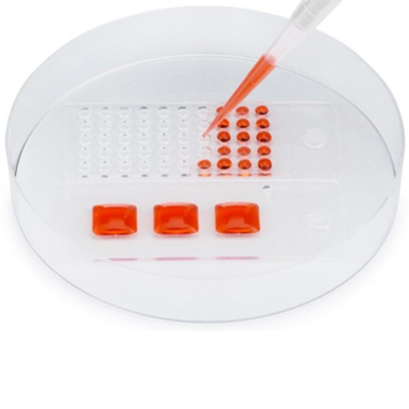 103210 CultureWell可重复使用硅胶垫片图?></a></div> <span style=