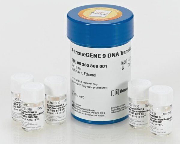 X-tremeGENE 9 DNA 转染试剂 X-tremeGENE 9 DNA 转染试剂