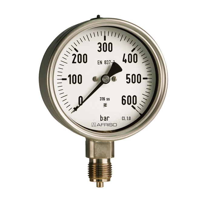 RF100Ch D4耐腐蚀型压力表图片