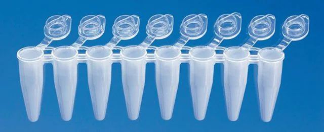 BRAND<sup>?</sup> PCR tubes, strips of 8