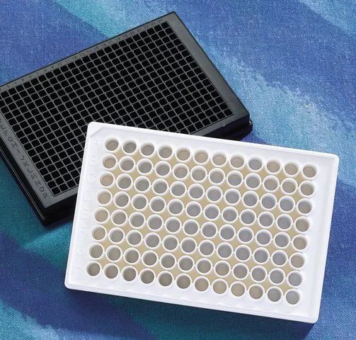 Corning<sup>?</sup> 96 well NBS<sup>TM</sup> Microplate