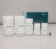 磁珠法细菌基因组DNA提取试剂盒图�?></a></div>    <span style=