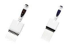 Picus? 8道电动移液器图片