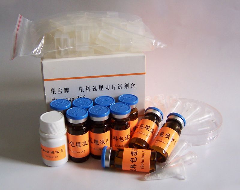 免疫组织化学塑料包埋切片865试剂盒图�?></a></div>    <span style=