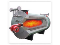 燃天然气导热油炉图片