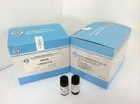 硝基呋喃� 前处理快速衍生剂图片