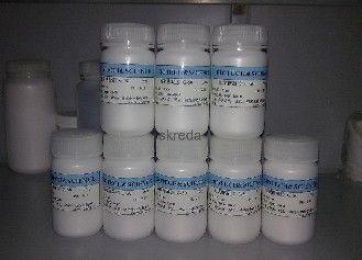 DL-天冬酰胺一水物图片