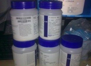 L-天冬氨酸镁图�?></a></div>    <span style=