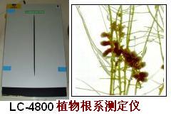 多参数根系分析扫描仪图片