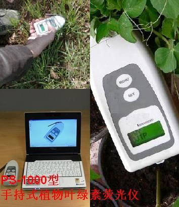 便携式调制叶绿素荧光仪图?></a></div>    <span style=