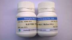 氨基甲酸叔丁酯图�?></a></div>    <span style=