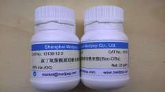 叔丁氧羰酰琥珀酰亚胺图�?></a></div>    <span style=