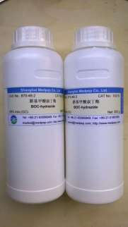 肼基甲酸叔丁酯图�?></a></div>    <span style=