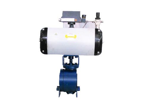 偏心半球阀图片