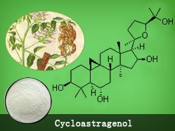 环黄芪醇图片