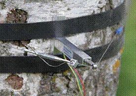 QT-2010植物生理生态系统图?></a></div>    <span style=