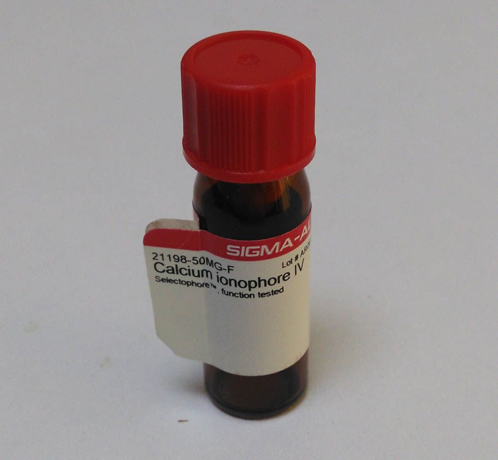 ����������IVͼƬ