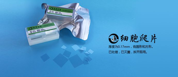6孔板配套用细胞爬片J06001细胞培养用无菌盖玻片图片