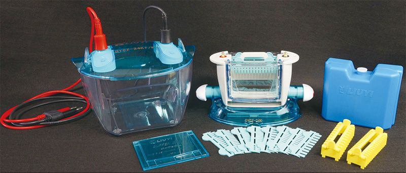 DYCZ-24KS型双板垂直电泳仪图片