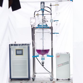 YSFT(EX)-托盘型变频调速双层玻璃反应釜图片