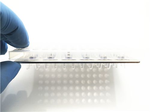 SC9600 96孔磁力架磁力板图�?></a></div>    <span style=