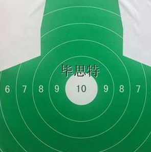 定位实弹精度报靶设备系统图片