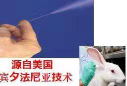 兔子雾化给药器图�?></a></div>    <span style=