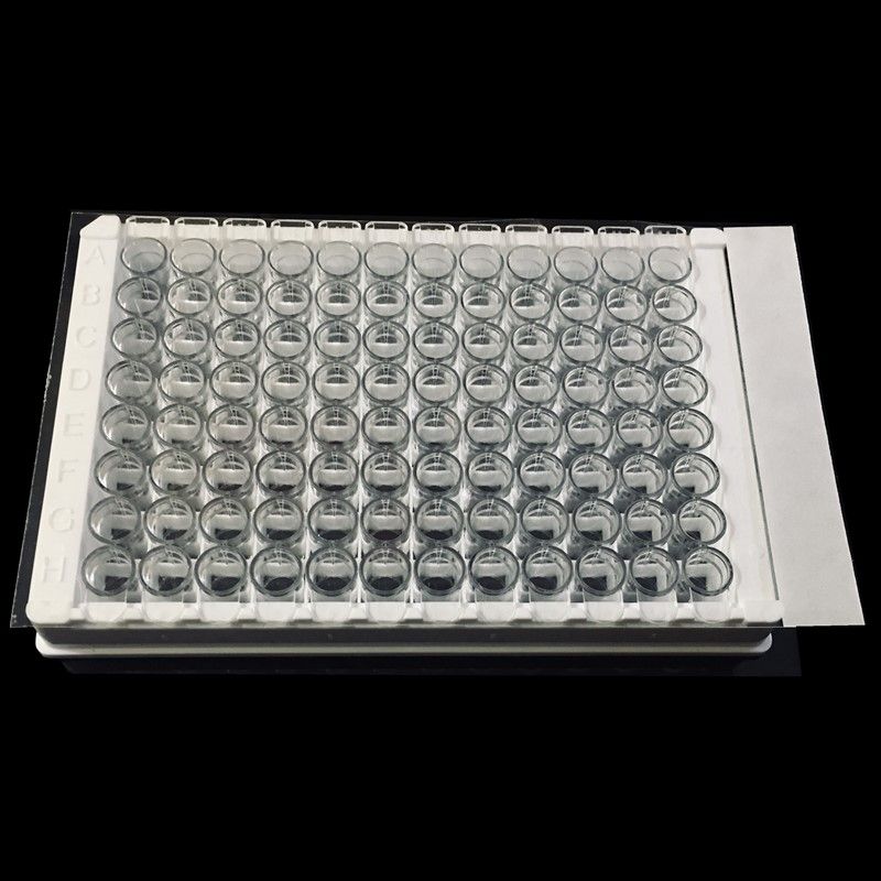 粘性封板膜图片