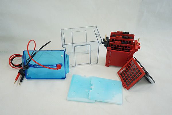 VE 586转移电泳槽图?></a></div>    <span style=