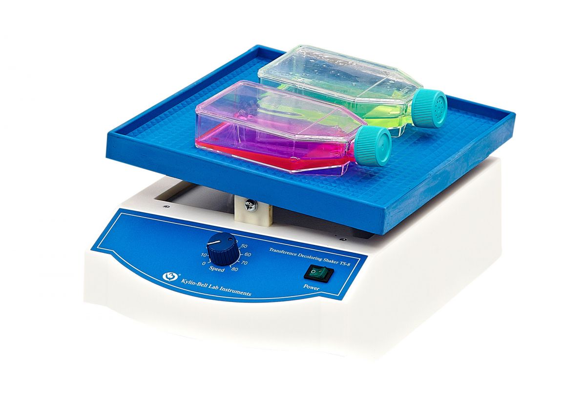 转移脱色摇床TS-8型图片