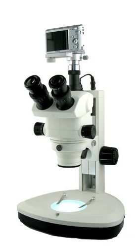体视显微镜XTL-BM-9TS(数码,变�?7.5-300X)图片