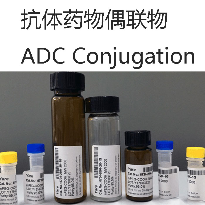 抗体药物偶联物ADC Conjugation图片