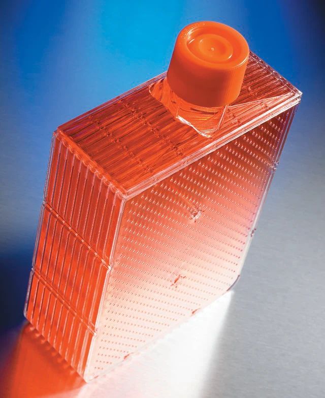 Corning<sup>?</sup> CellBIND<sup>?</sup> Surface HYPER<i>Flask</i><sup>?</sup> cell culture vessels