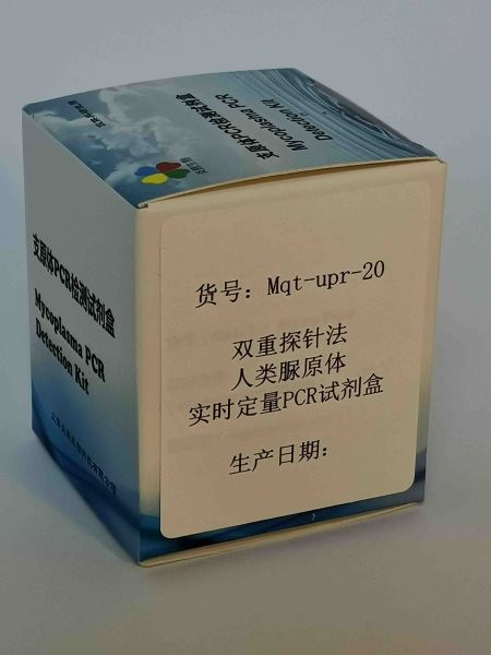 双重探针法人类脲原体实时定量PCR试剂盒图�?></a></div>    <span style=