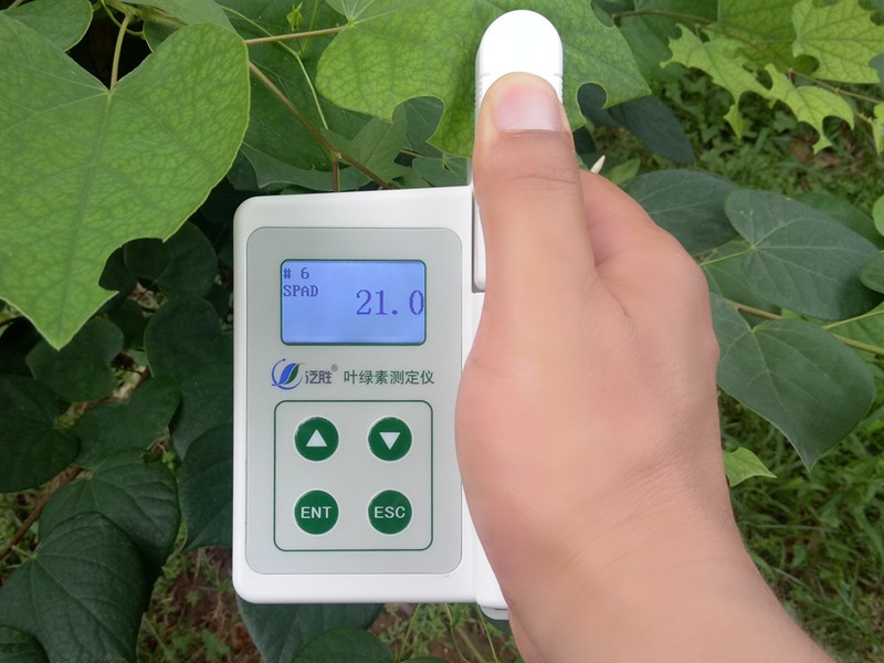 SPAD-2叶绿素测定仪图片