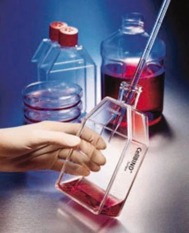 Corning<sup>?</sup> CellBIND<sup>?</sup> Surface cell culture flasks