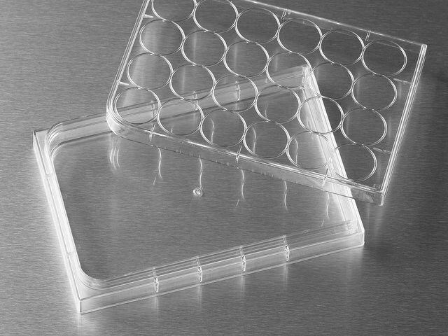 Corning<sup>?</sup> Costar<sup>?</sup> HTS Transwell<sup>?</sup> cell culture plates