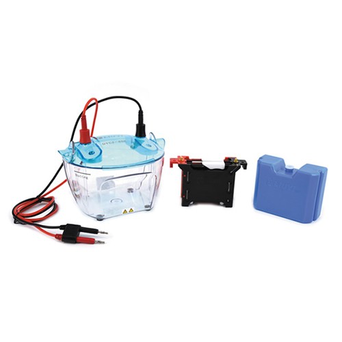 DYCZ-40K转印电泳仪图�?></a></div>    <span style=