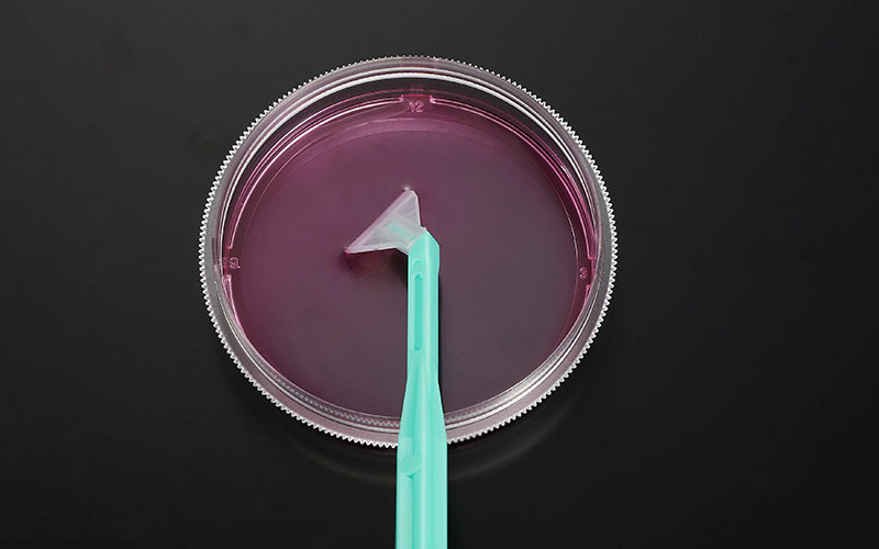 可旋�?#8482;细胞刮刀图片