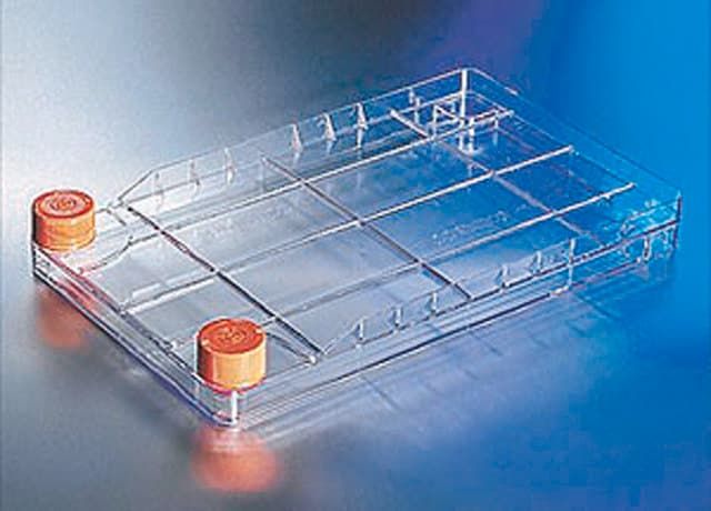 Corning<sup>?</sup> CellBIND<sup>?</sup> Surface CellSTACK<sup>?</sup> cell culture chambers